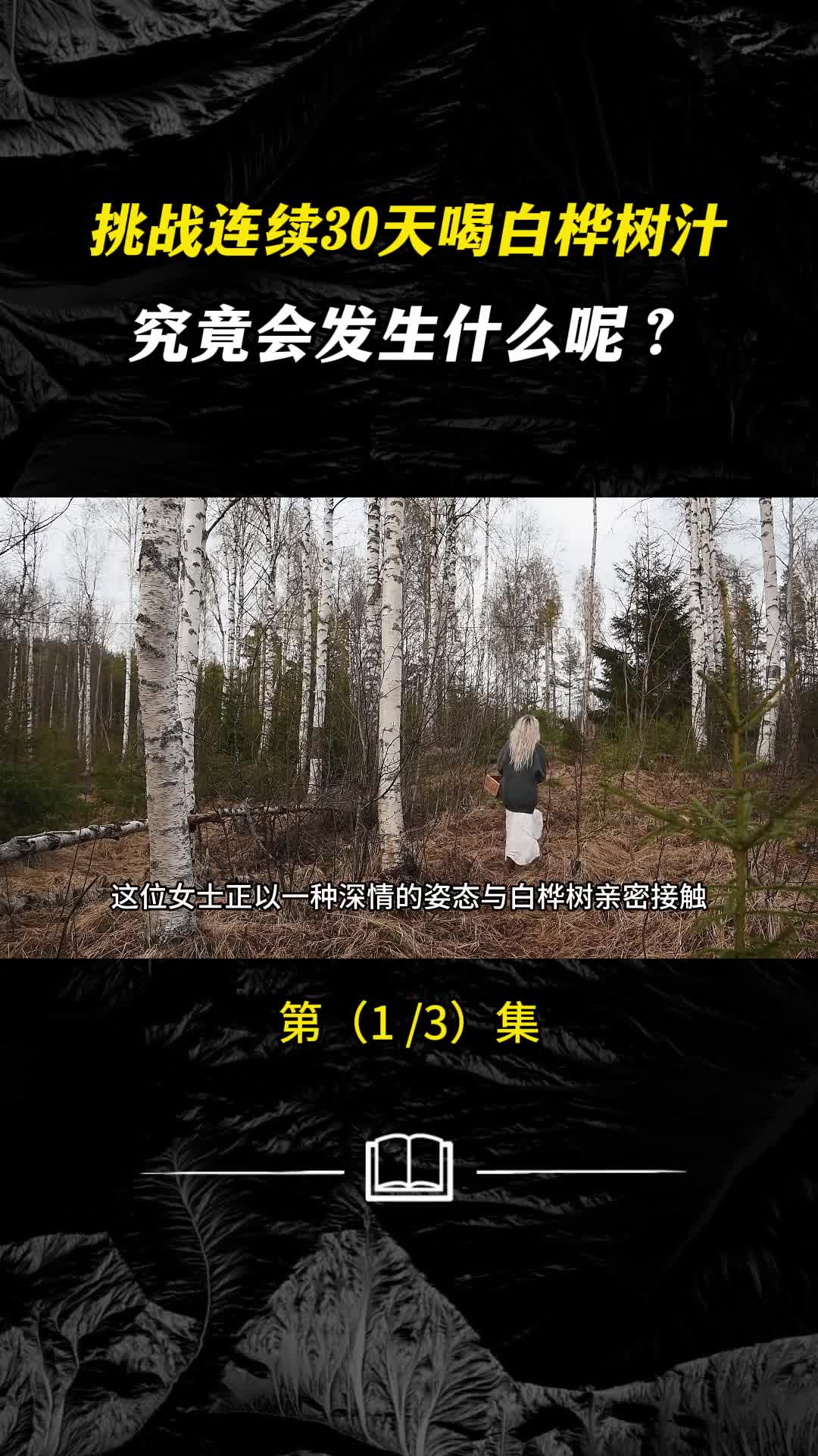 揭秘白桦树汁的加工过程究竟有多神秘