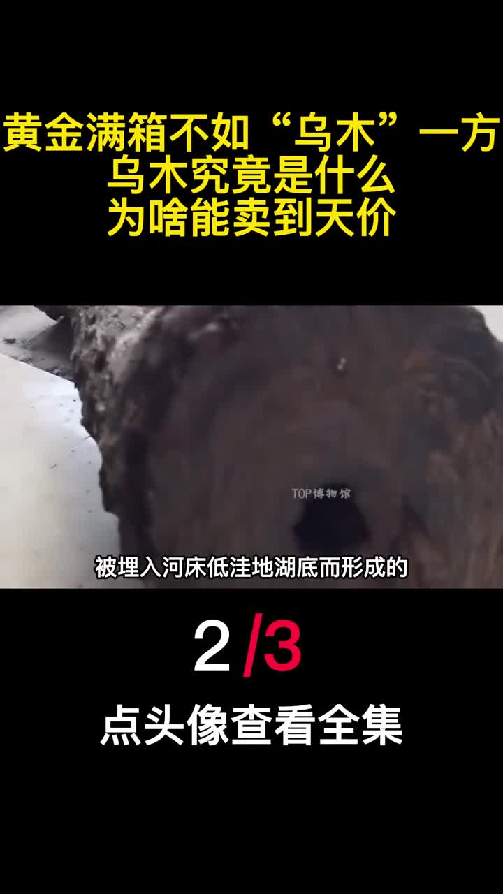 黄金满箱不如乌木一方乌木究竟是什么为啥能卖到天价3