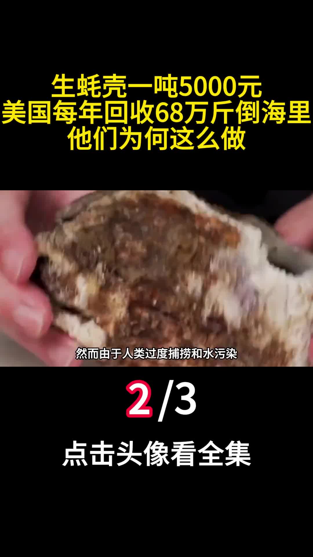 生蚝壳一吨5000元美国每年回收68万斤倒海里他们为何这么做2