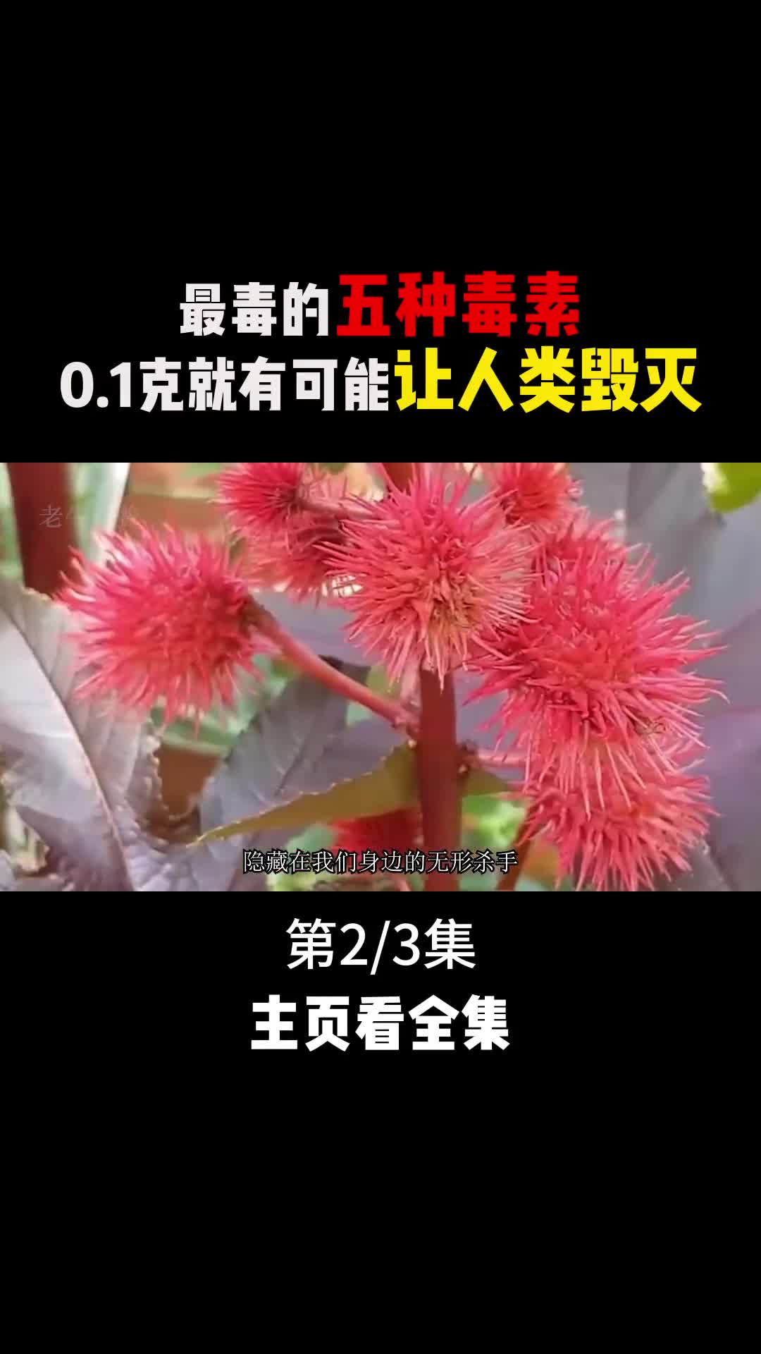 世界上最毒的五种毒素01克就可能让人类灭绝有的就隐藏在我们身边2