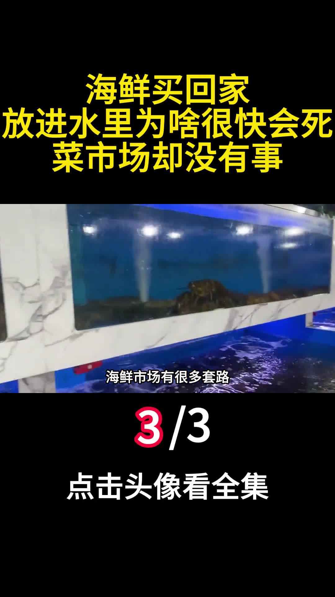 海鲜买回家放进水里为啥很快会死菜市场却没有事3