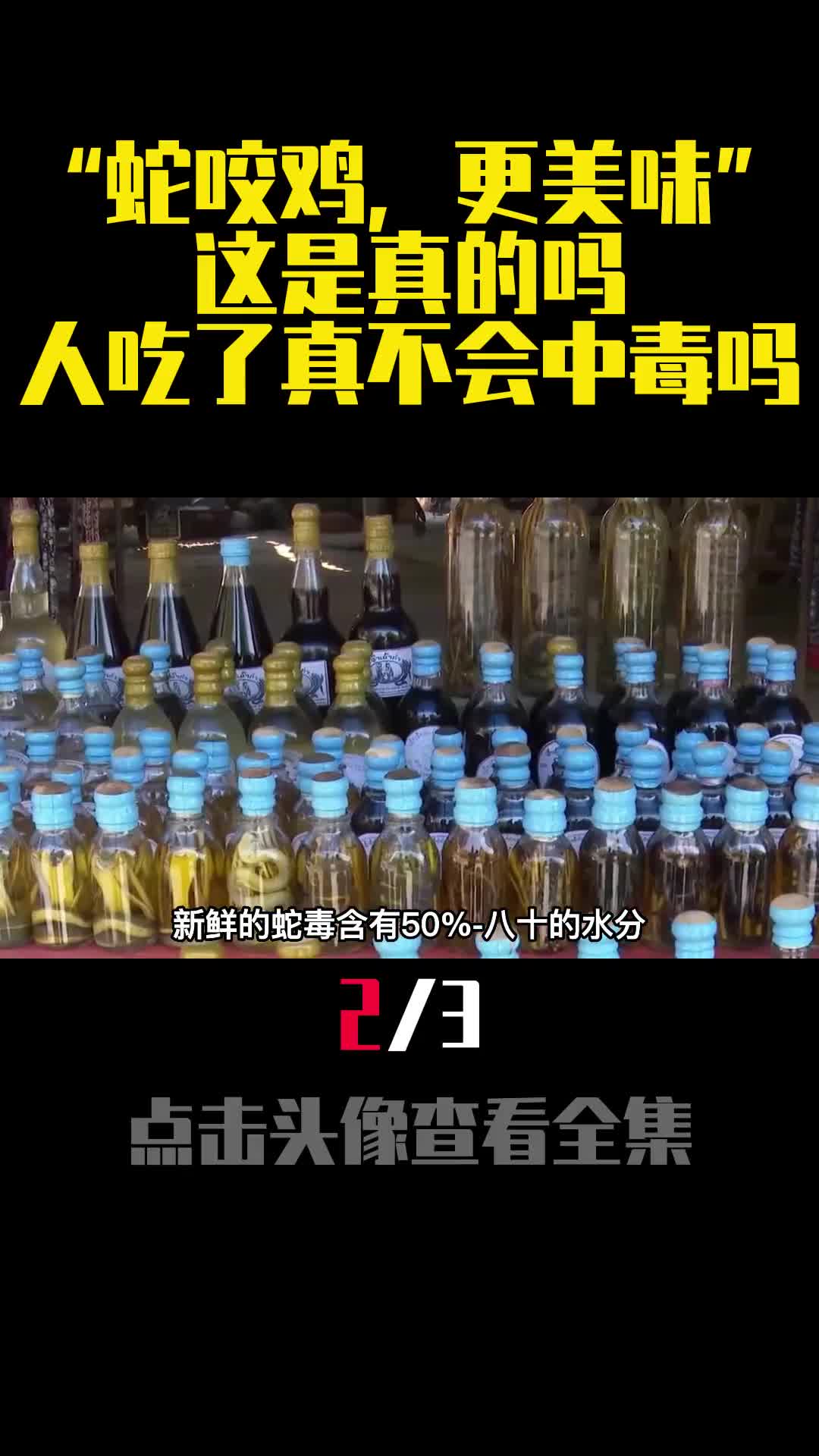 蛇咬鸡更美味这是真的吗人吃了真不会中毒吗2