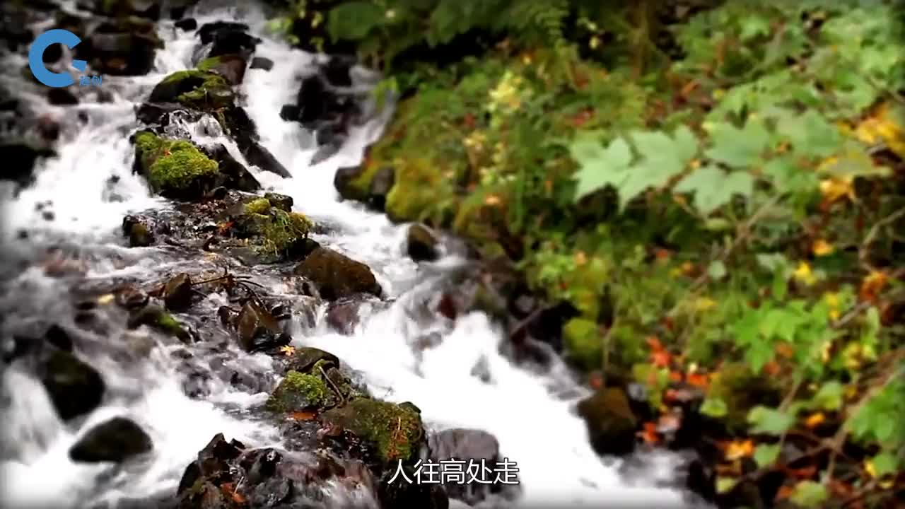 不用油不用电就能将水泵到高处水锤泵是如何工作的