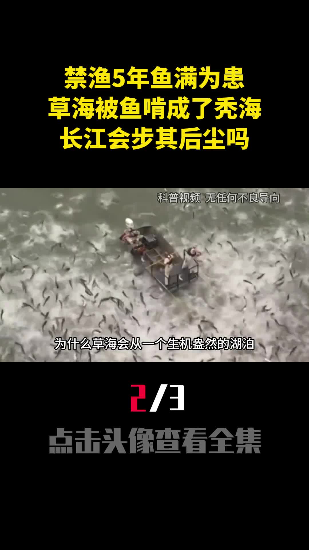 禁渔5年鱼满为患草海被鱼啃成了秃海长江会步其后尘吗2