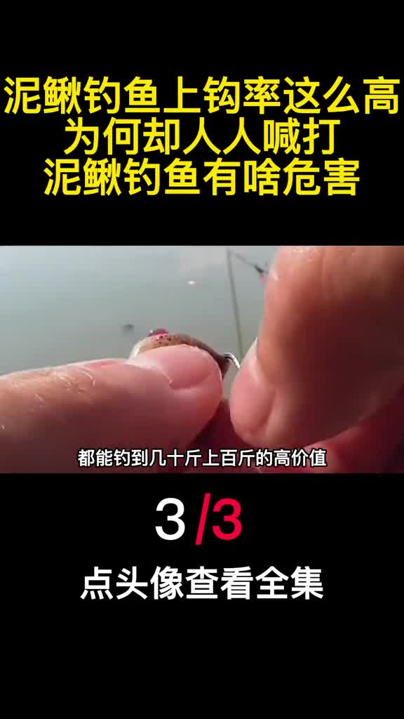 泥鳅钓鱼上钩率这么高为何却人人喊打泥鳅钓鱼有啥危害3