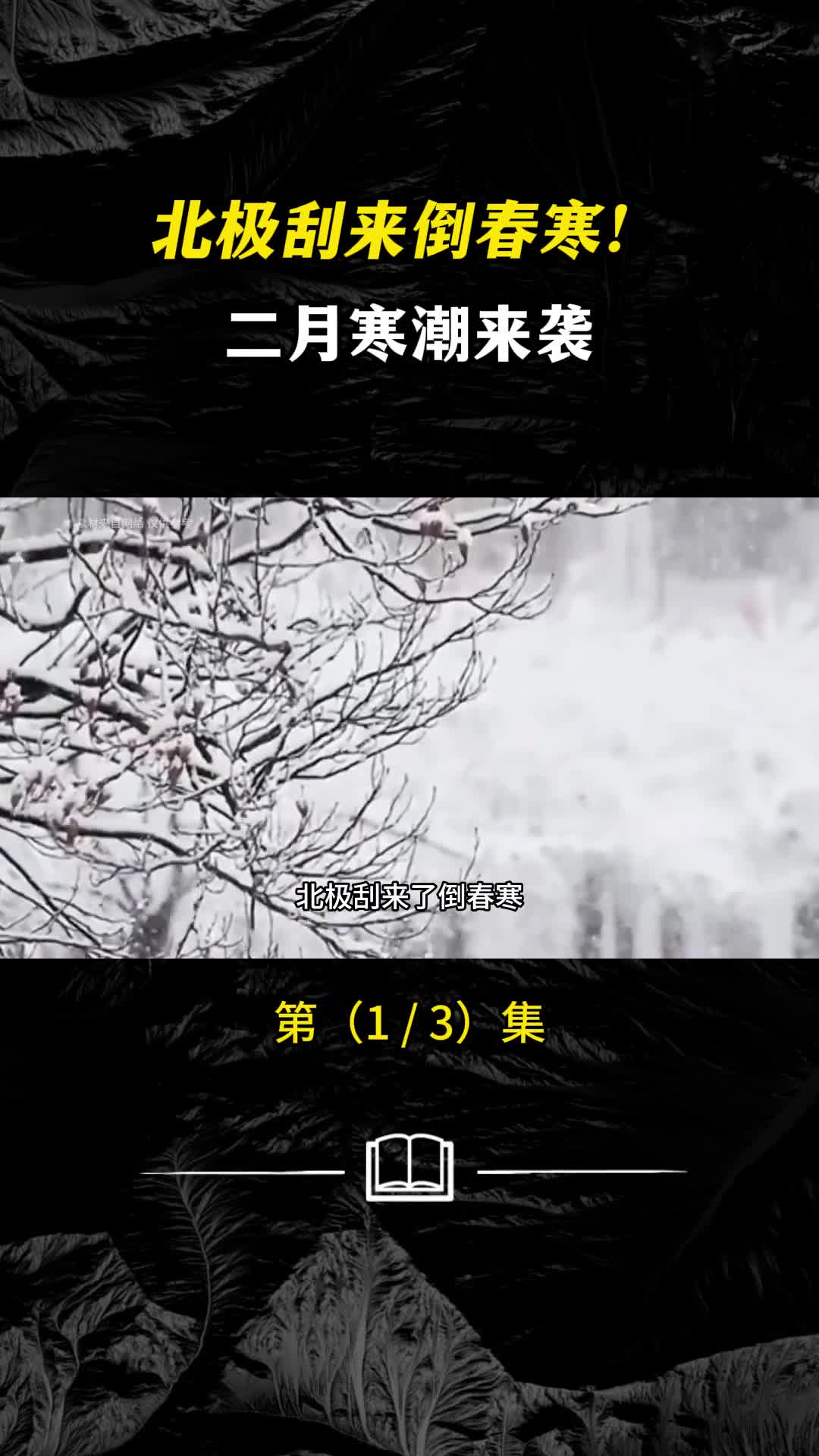 北极刮来了c今年二月究竟是怎么回事