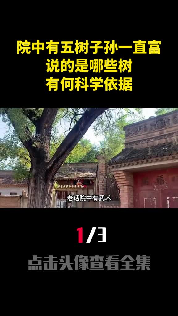 老话院中有五树子孙一直富说的是哪些树有何科学依据1