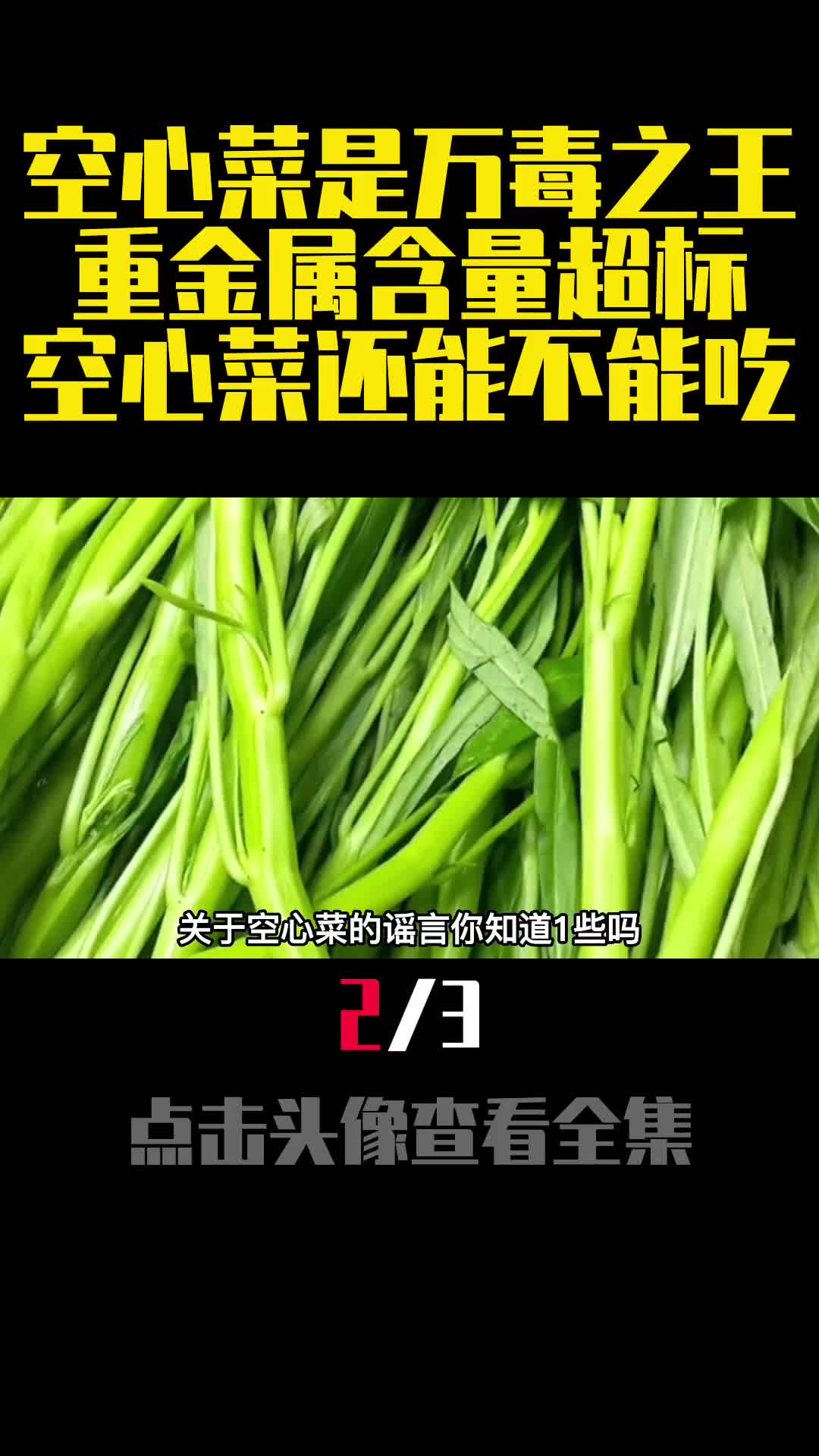 空心菜是万毒之王重金属含量超标空心菜还能不能吃2