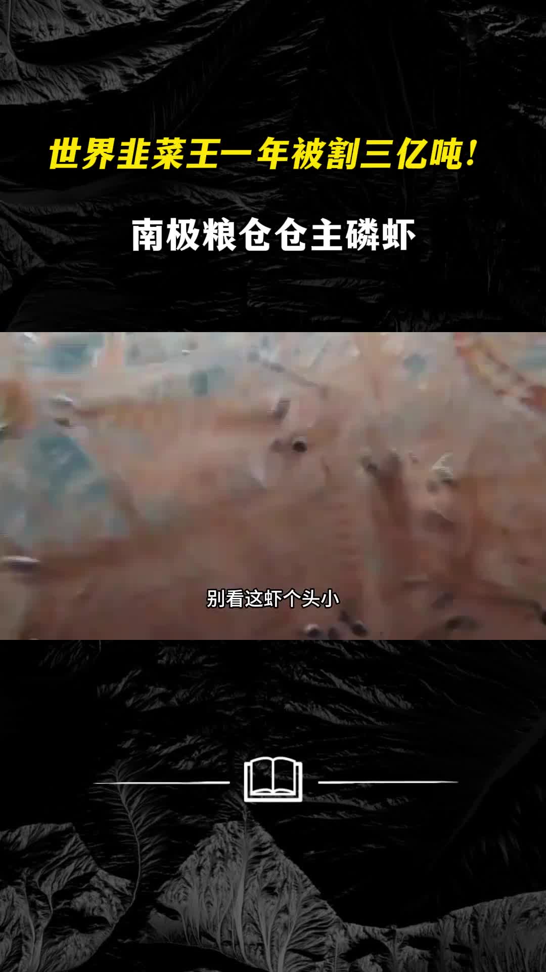 世界韭菜王一年被割三亿吨南极粮仓仓主磷虾