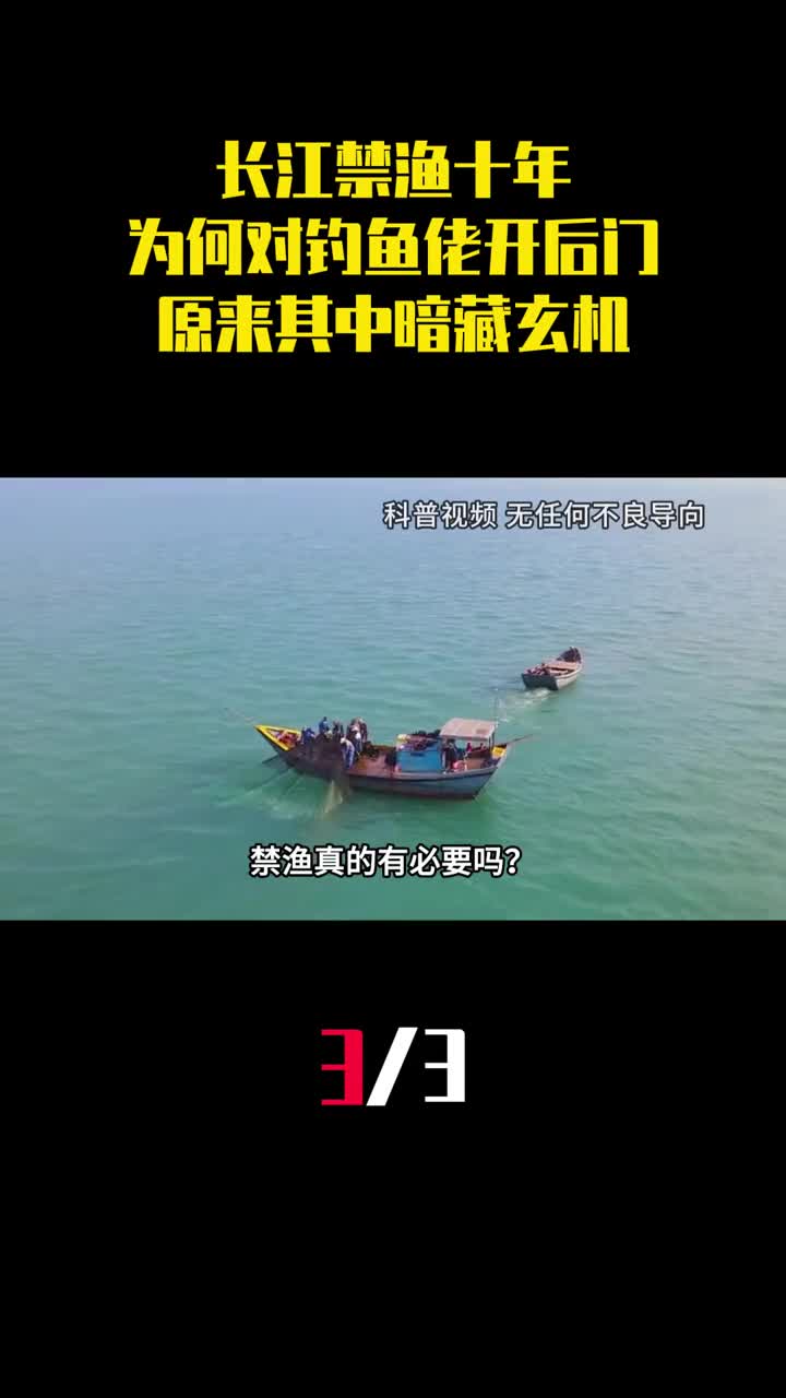 长江禁渔十年为何对钓鱼佬开后门原来其中暗藏玄机3