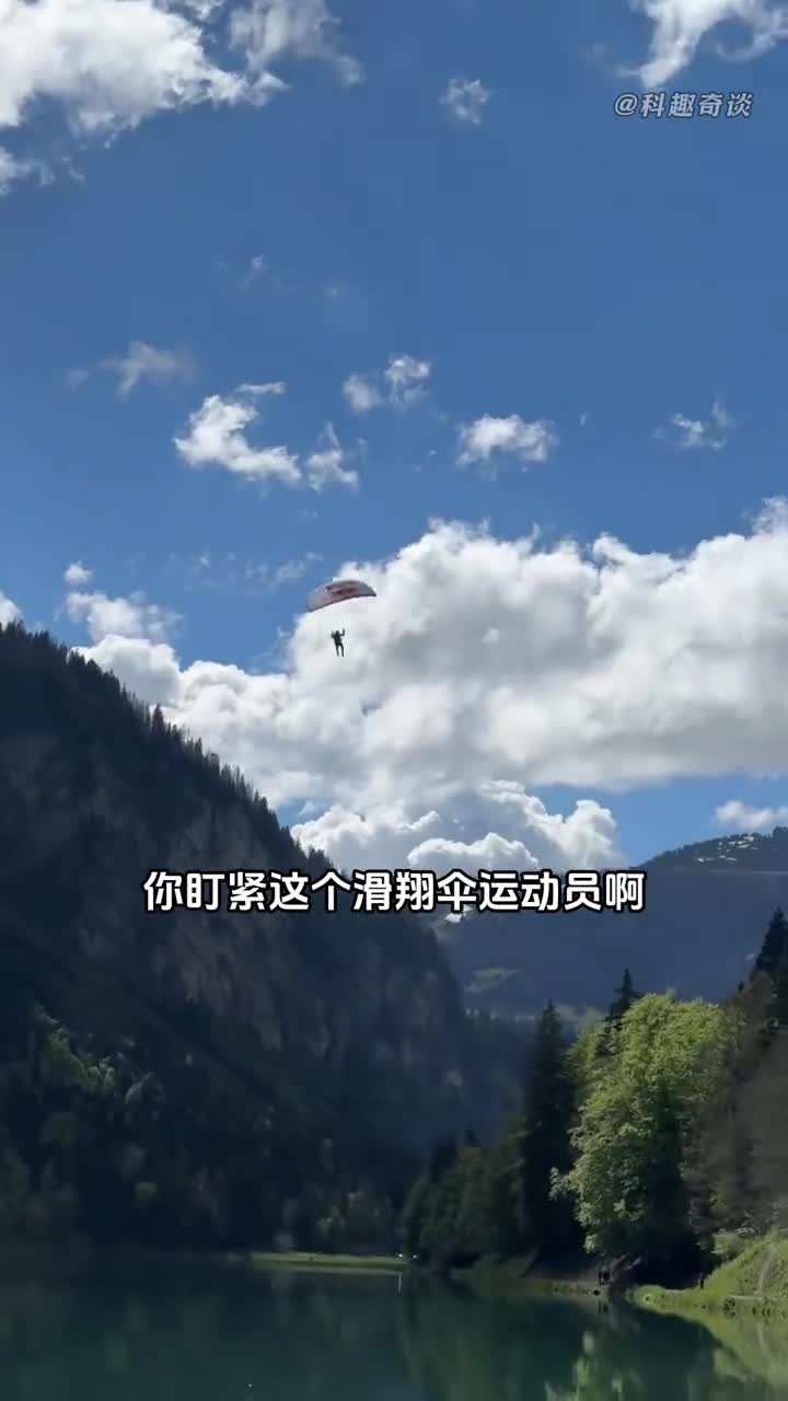 千万不要随便尝试水面滑行因为真的很危险只有天鹅才能做到