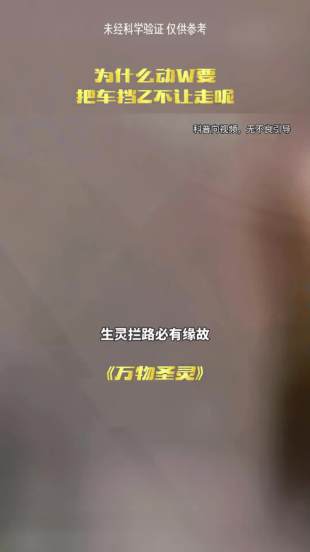 你知道吗生灵拦路必有缘故