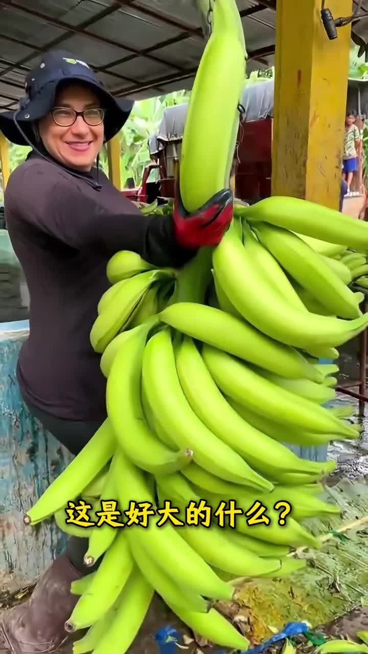 这是好大的什么是真实的吗真真假假假假真真有些巨物你看到的并不一定真实的存在