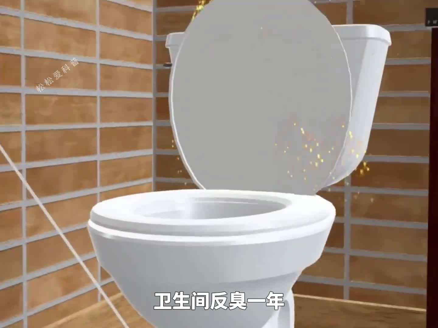 卫生间反臭到底如何解决