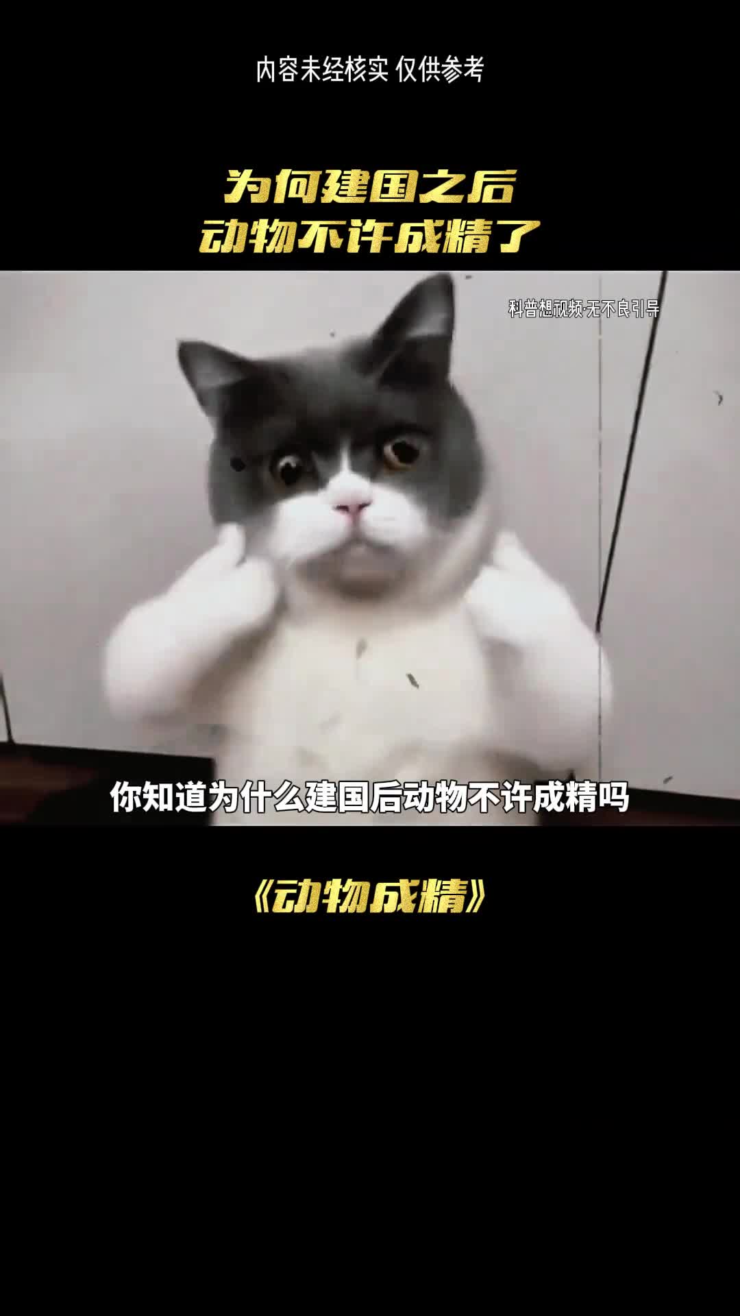 为何动物不能成精了