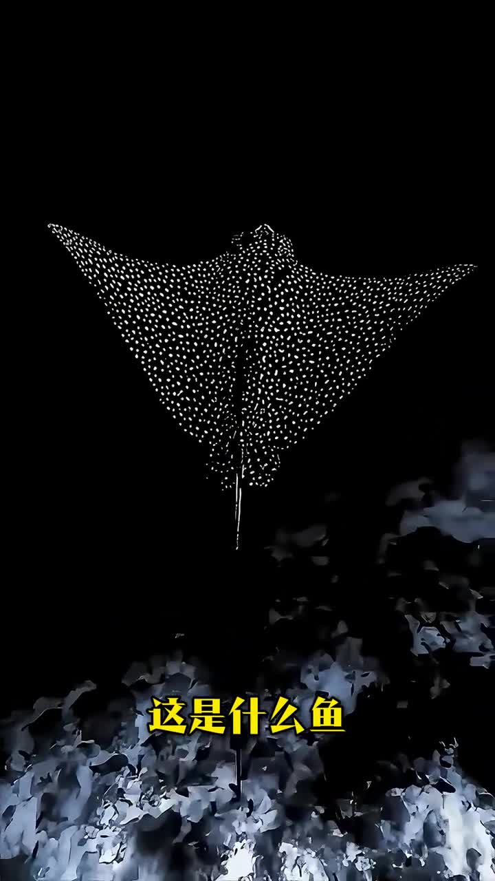 分享科普35种长相奇特的鱼类你觉得哪种最让你惊艳