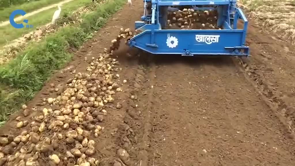 国外是如何收割土豆的一台机器驶过土豆全被刨了出来