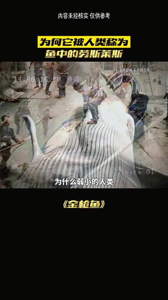 为什么我们会成为地球的至尊呢