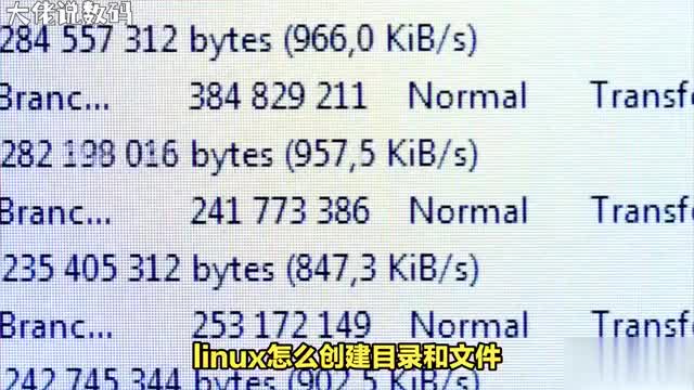 揭秘Linux中的文件与目录管理从入门到精通