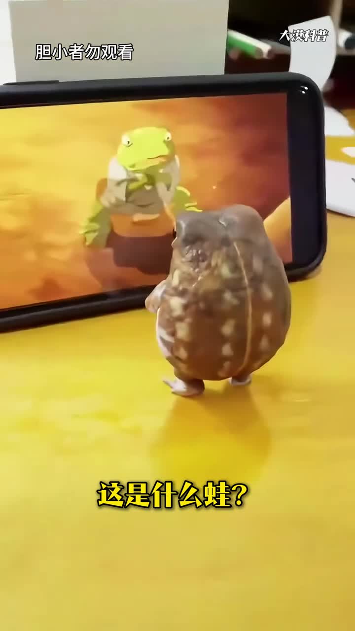 科普分享十一种蛙及其叫声你听过几种