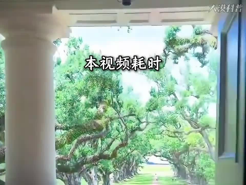 全球最令人惊叹的十种怪异植物最后一个将彻底颠覆你的认知