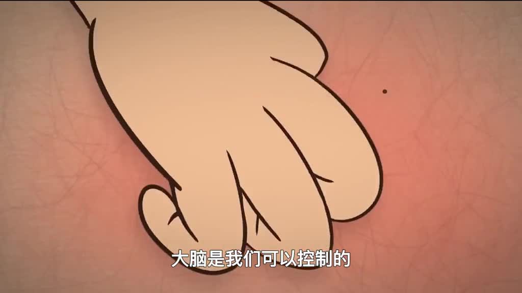 人体最诡异的器官一碰就发痒是超能力还是进化优势