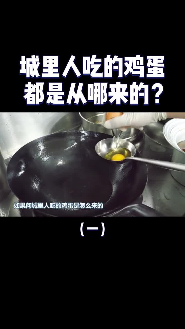 城里人吃的鸡蛋到底是从哪里来的鸡蛋工厂了解一下