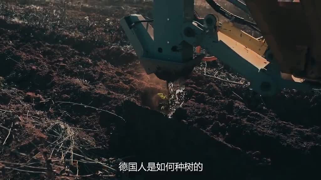 神奇的机械化种树机一小时栽种900棵树