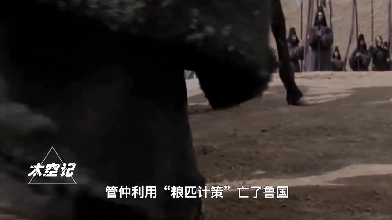 收割未成熟小麦当青储危害国家粮食安全百害而无一利