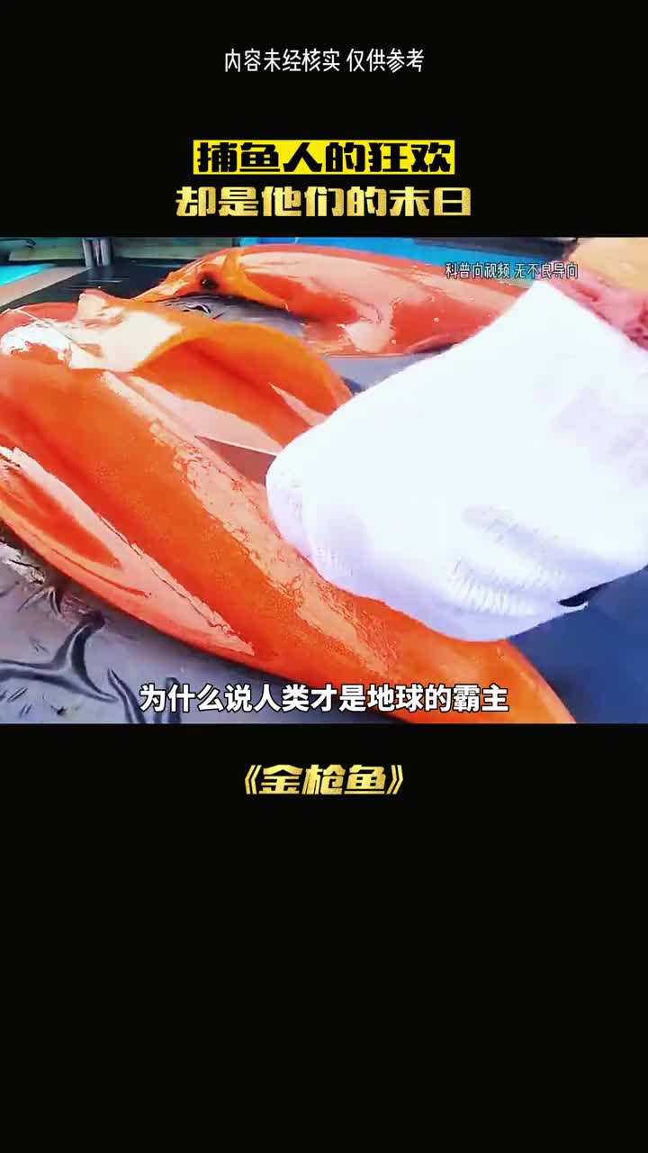为何他们被肆意屠杀