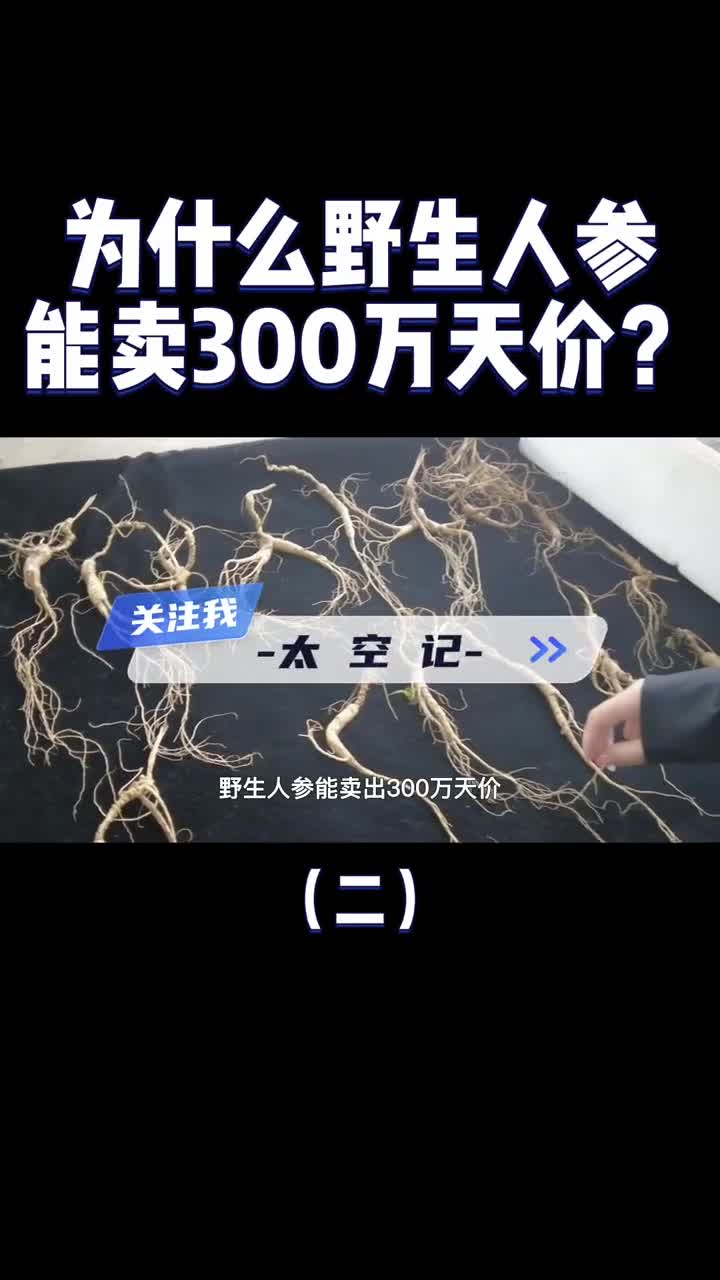 为什么野人参能卖300万天价而人工的论斤卖到底谁是智商税