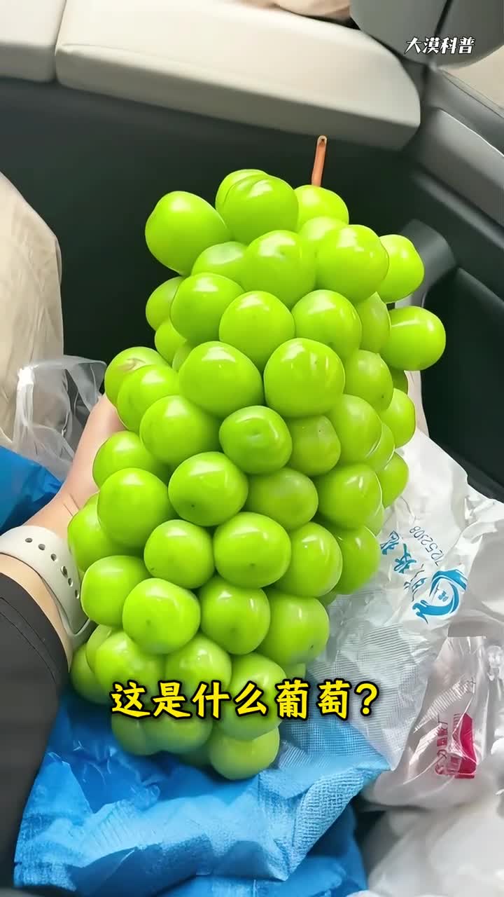 葡萄都爱吃吧科普分享30种不同的葡萄看你吃过几种