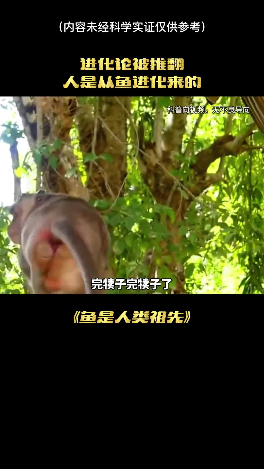 一觉起来我们老祖宗都变人类的祖先竟然是一只鱼