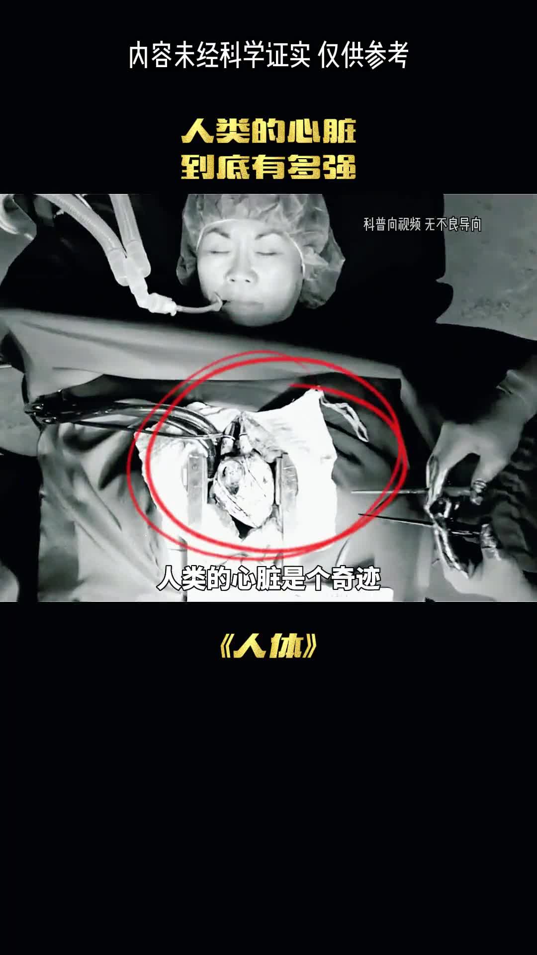 人类的心脏有多强大