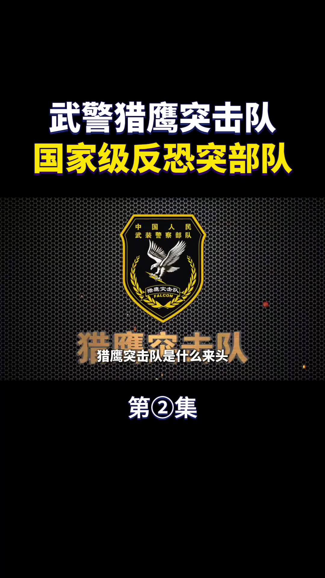 武警猎鹰突击队国家级反恐突击队