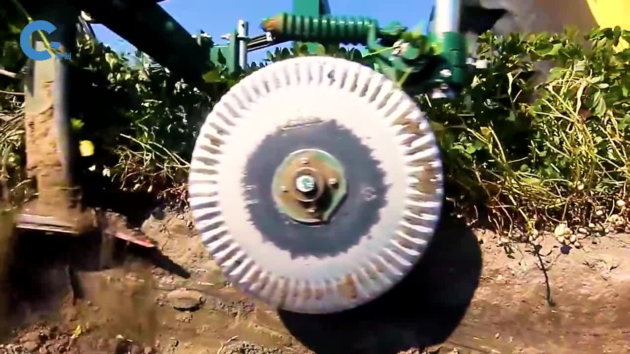 如何机械化种植花生先精准投放种子再连根带土的被拔出来