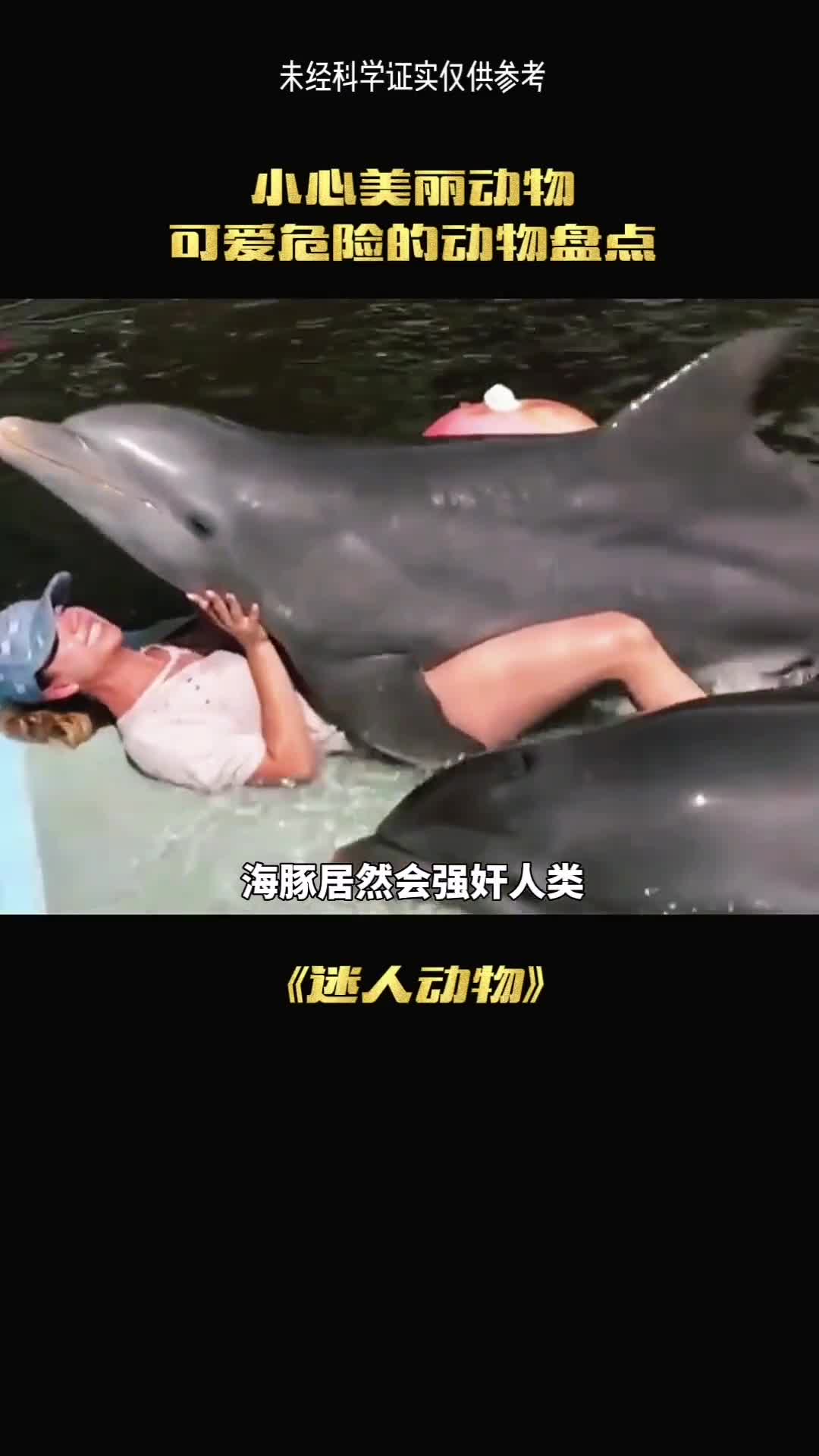 你有被海豚强奸过吗