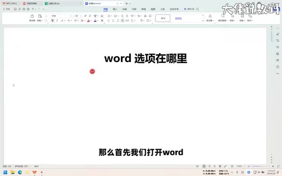 word选项在哪里手把手教会您