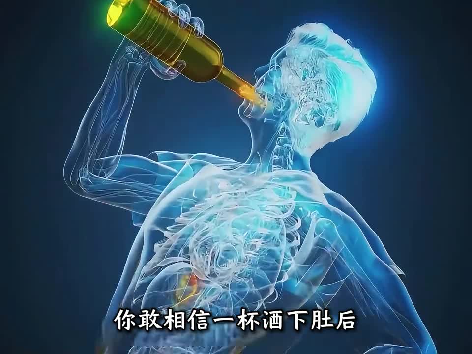 你知道当你喝下一杯酒后身体内会发生什么变化吗