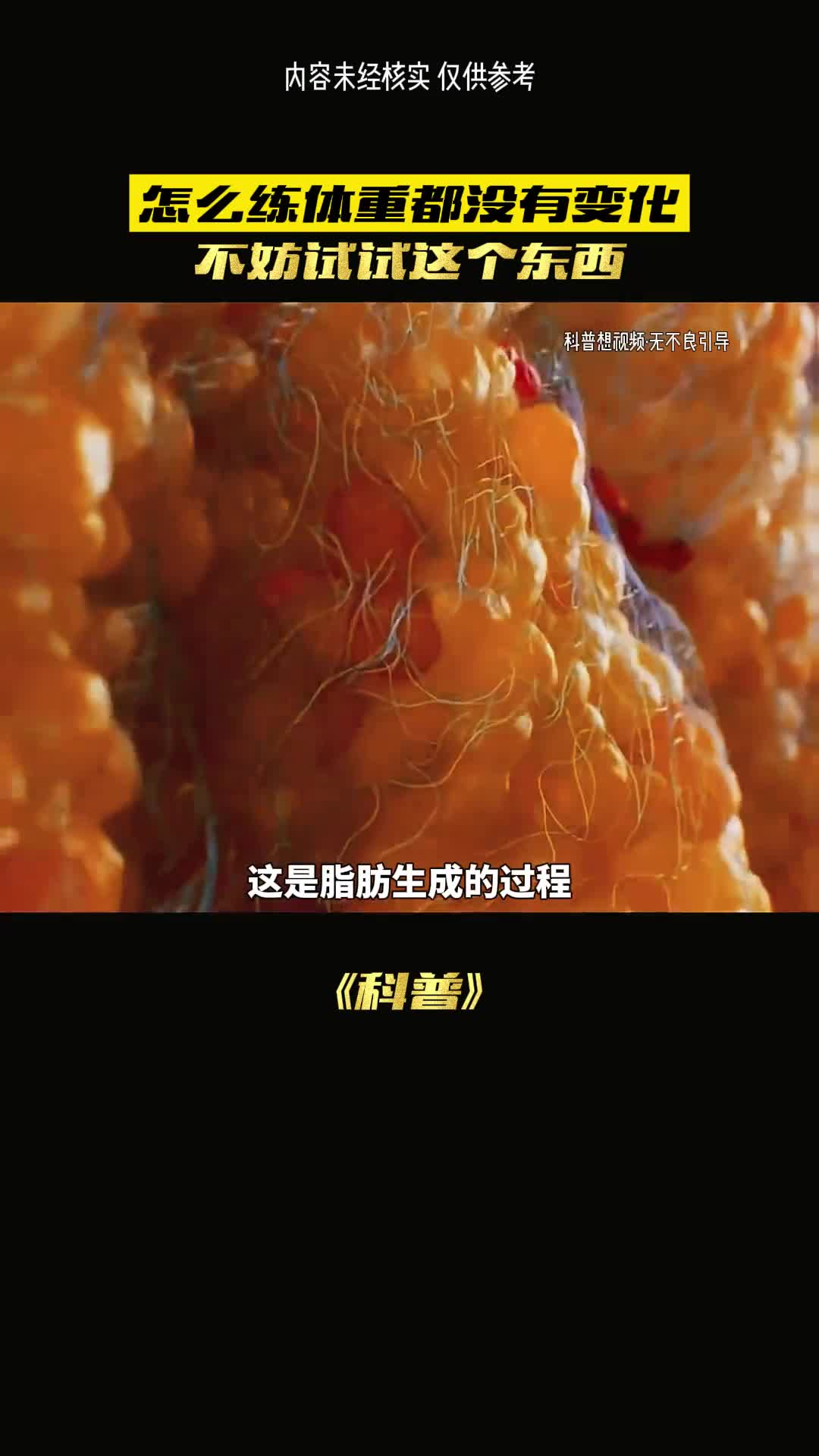 你敢相信吗这就是脂肪的生成过程