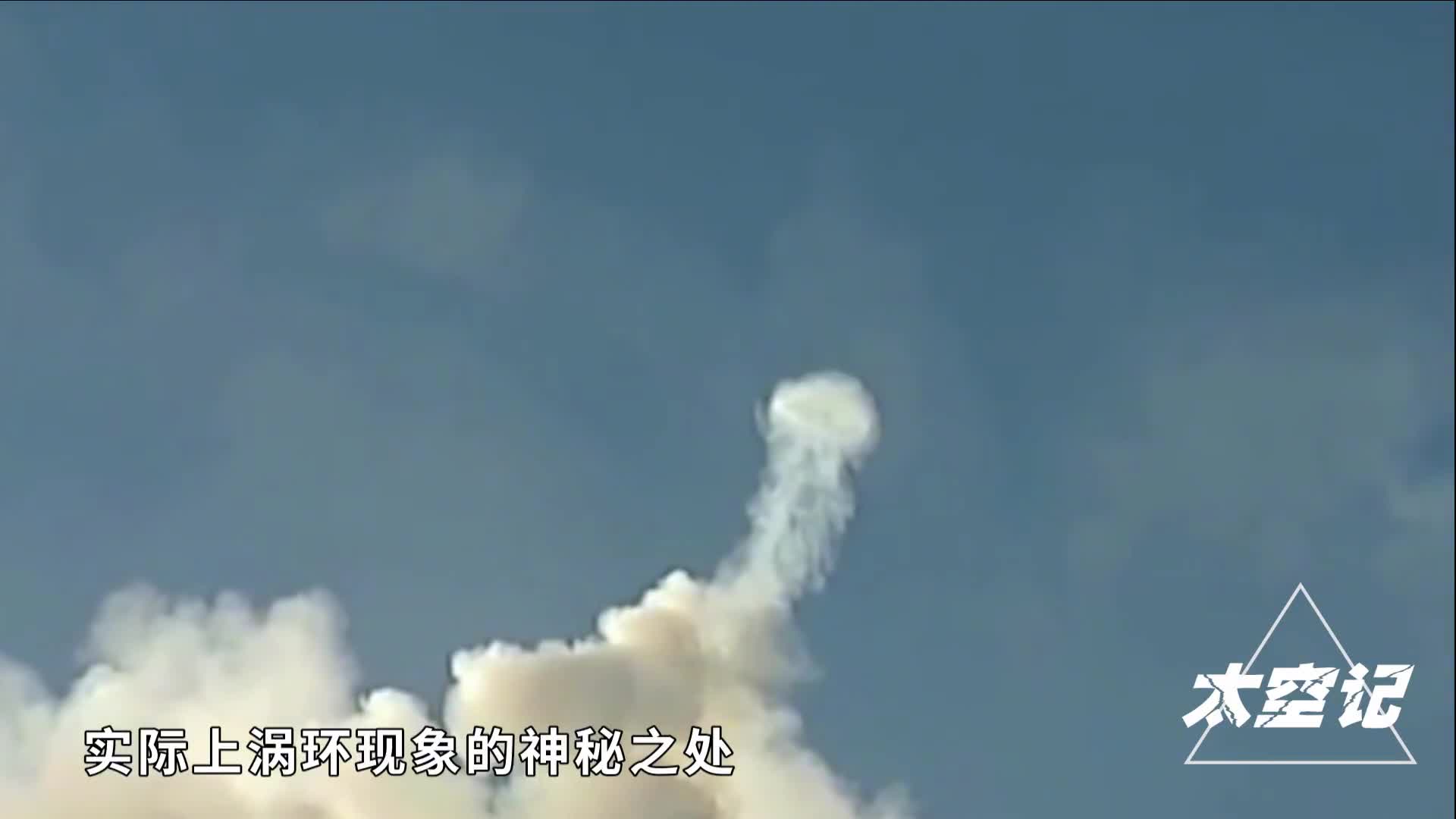 神奇的涡环现象海豚吐泡泡居然和原子弹的蘑菇云是一个原理