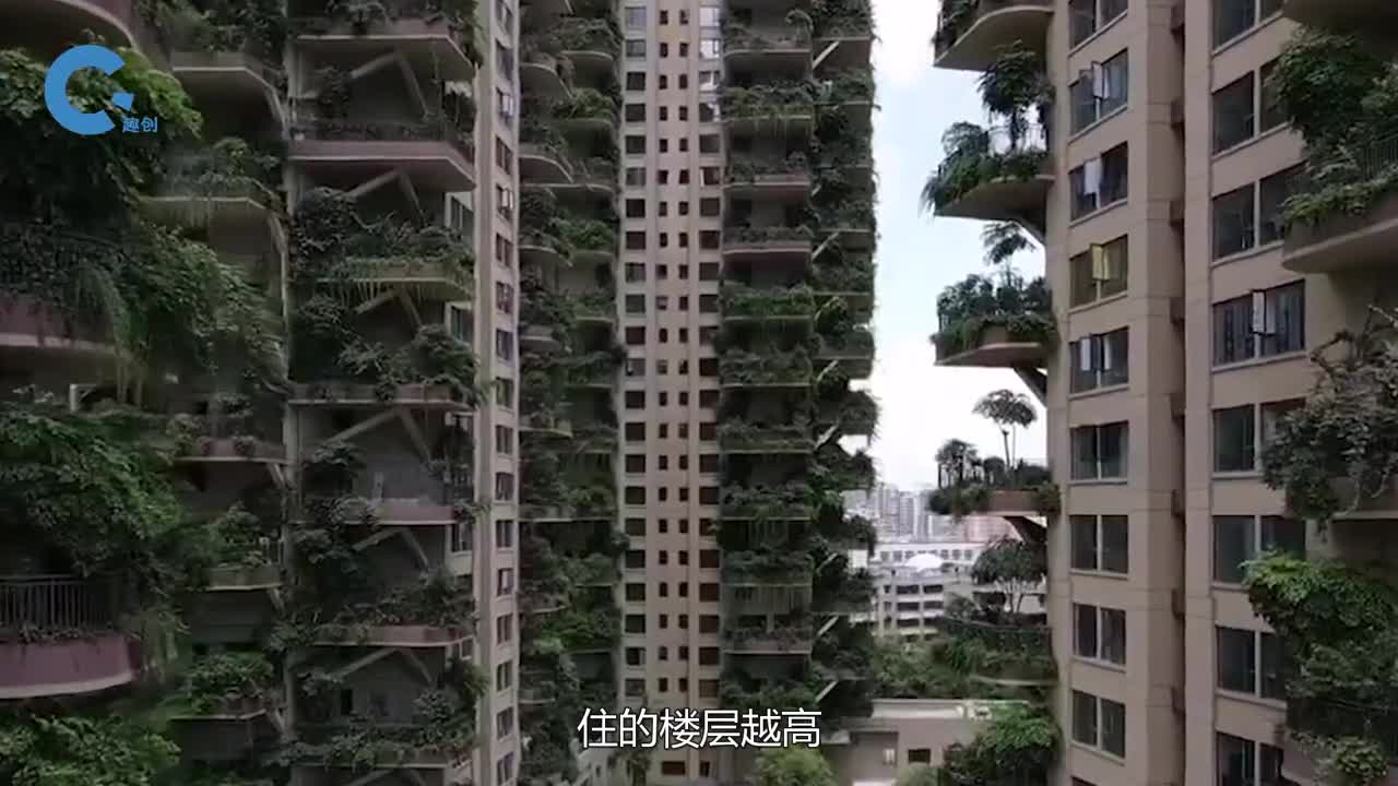 蚊子最高可以飞到几楼真的是楼层越高蚊子的数量越少吗