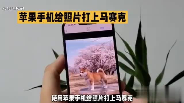 用的苹果手机怎么给照片打上马赛克有以下3种方法可选择