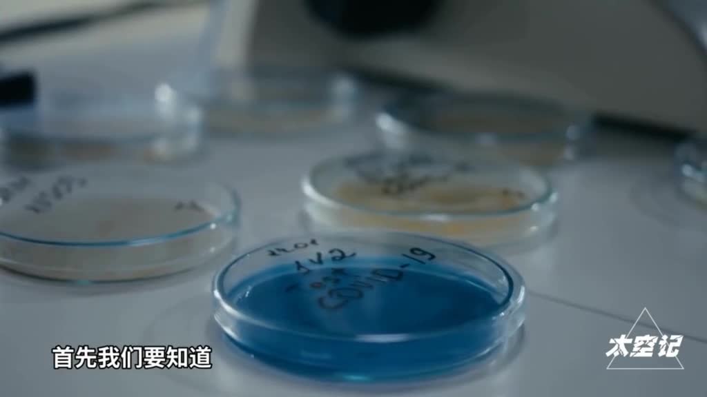 病毒与人类有仇新型冠状病毒入侵人体目的是为了杀死人类吗