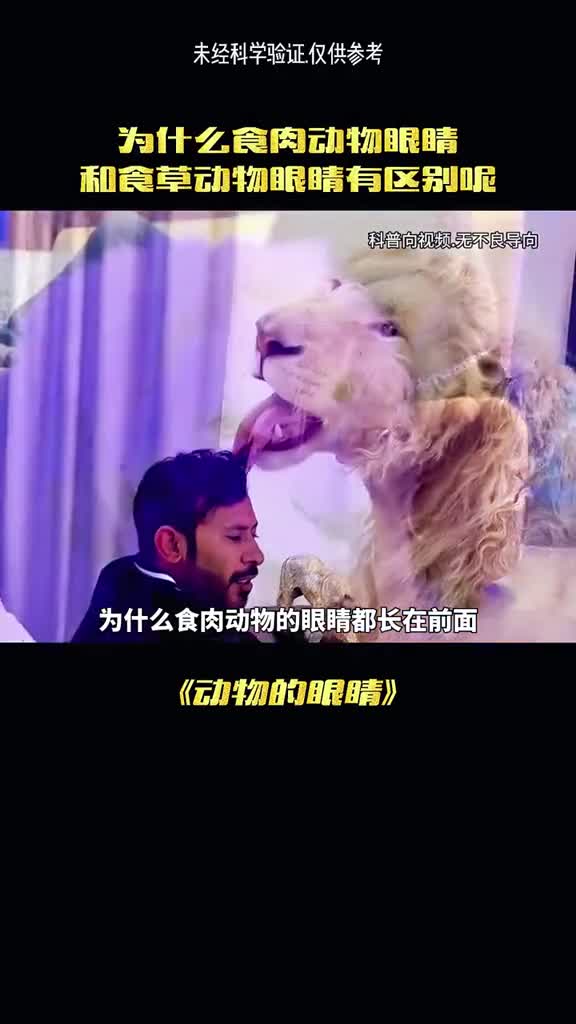 为什么说食肉动物的眼睛都长在前面