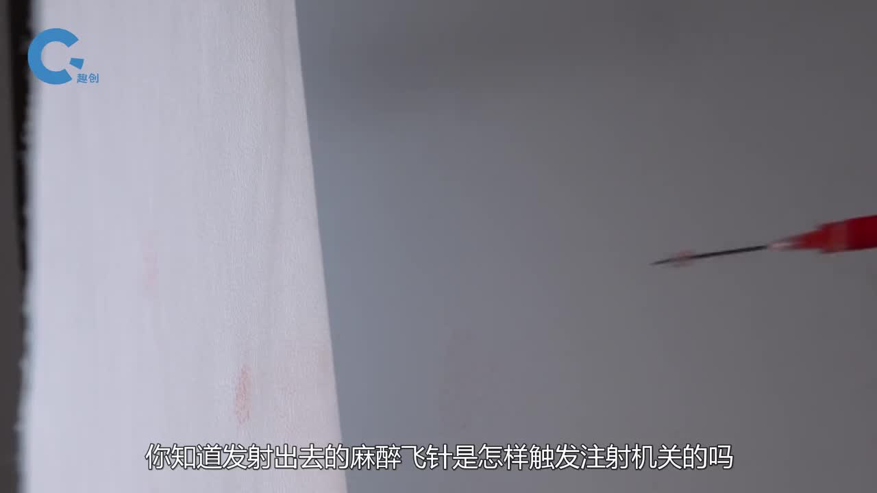 动物麻醉飞针是怎样在瞬间让它麻醉的镜头放慢100倍还原给你看
