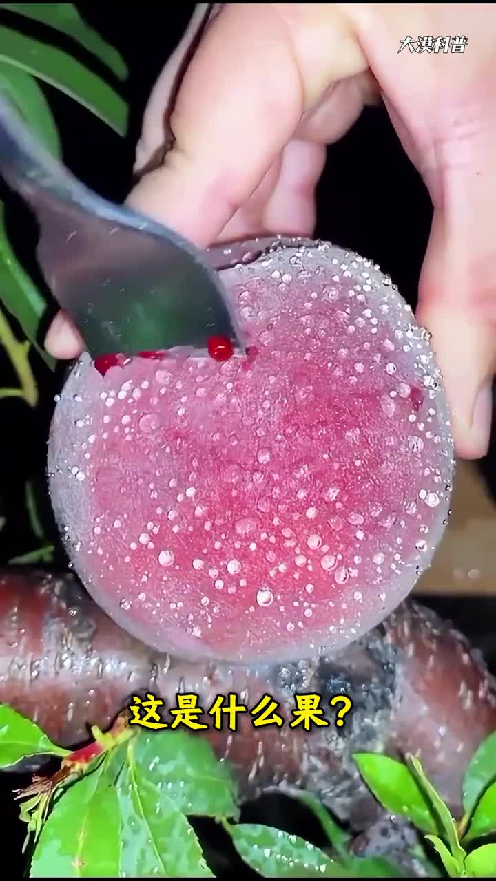 科普分享50种冷门水果看看你认识几种