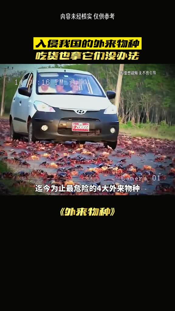 你根本不知道你只要吃的竟然是入侵物种