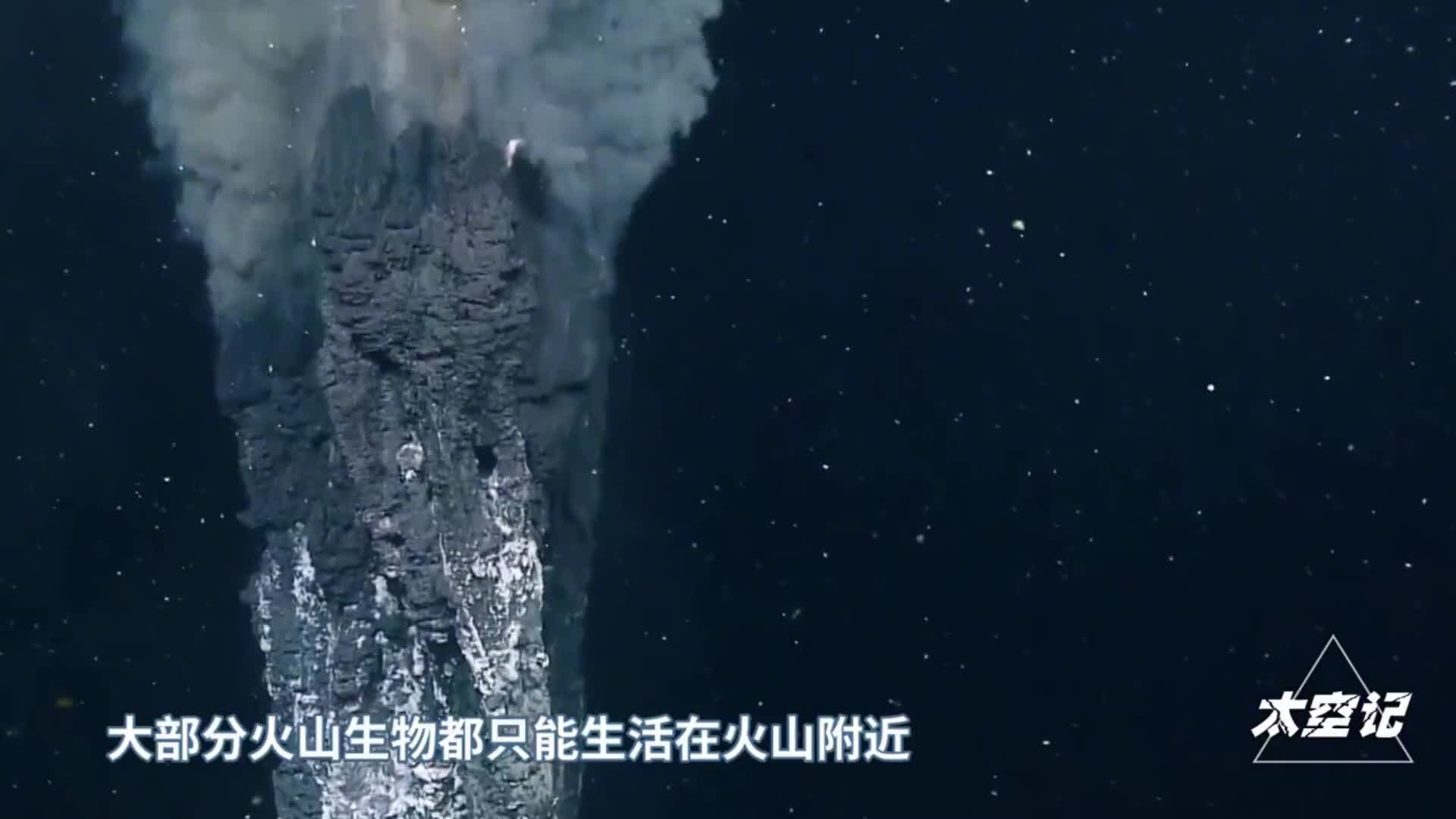 人类发现一种煮不熟的虾在海底水温超过450度的火山口生活