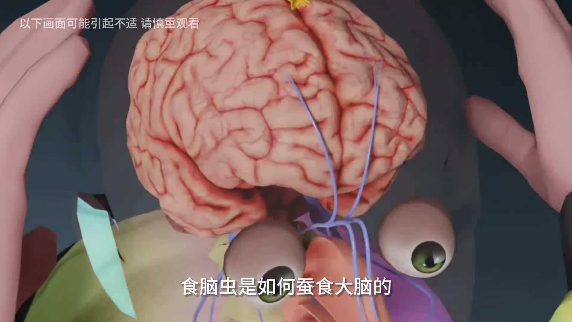 食脑虫如何蚕食大脑的